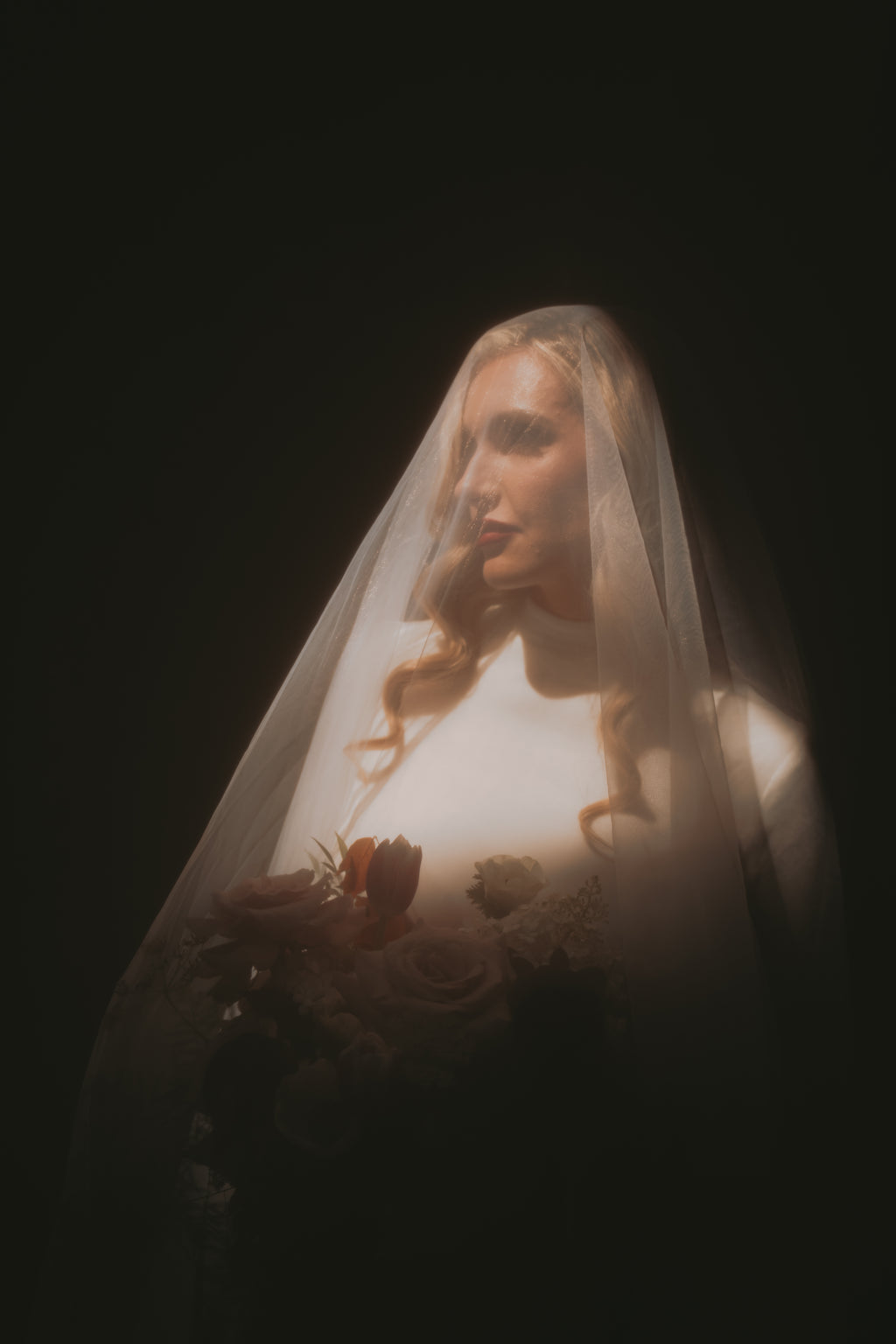 Daphne  | Silk Velvet Wedding Gown