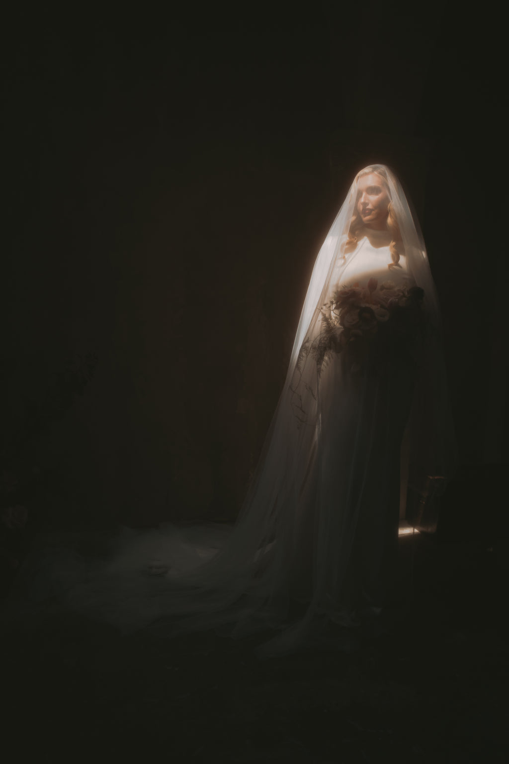 Daphne  | Silk Velvet Wedding Gown